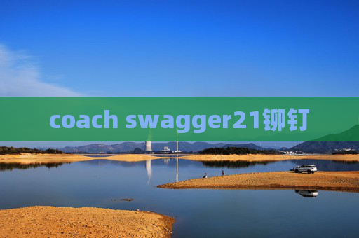 coach swagger21铆钉